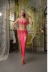 Professional bellydance costume (Classic 405A_1